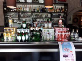 Terugblik Gin / Tonic workshops