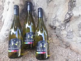 Nieuw: Le Petit Berticot Sauvignon Blanc