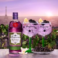 Nieuw Tanqueray Blackcurrent Royale